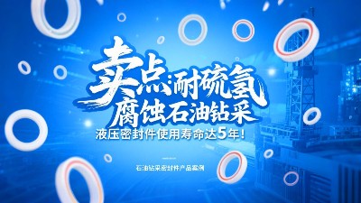 賣點?：耐硫化氫腐蝕！石油鉆采液壓密封圈使用壽命達5年！