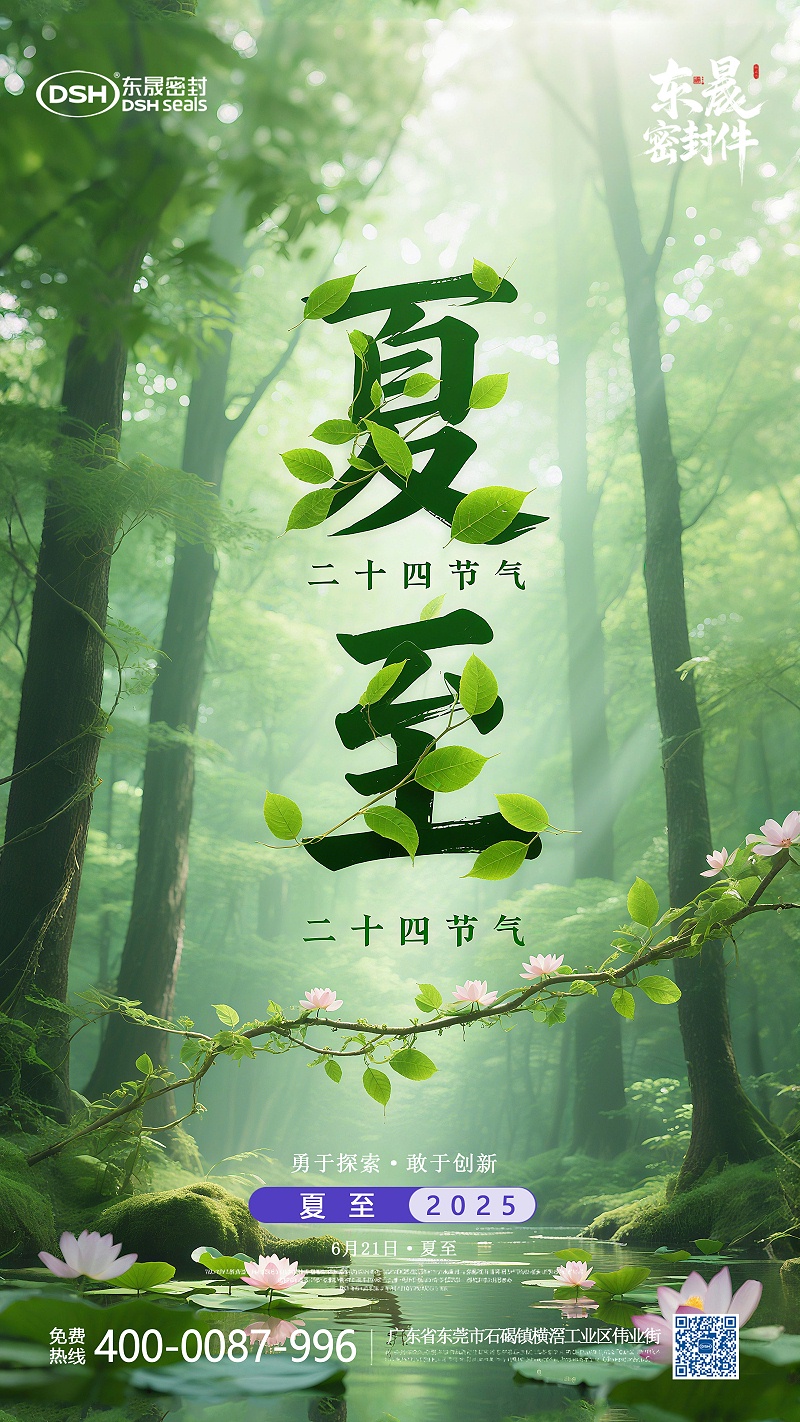 夏至節氣2025年6月21日二十四節氣-東晟密封件-(2)-副本11