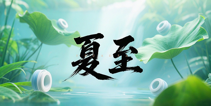 夏至節氣2025年6月21日二十四節氣-東晟密封件-(2)-副本