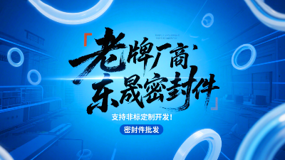 密封圈批發老牌廠商東晟密封圈，支持非標定制開發！