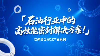 ?雙彈簧泛塞封產品案例 ? 石油行業中的高性能密封解決方案！?
