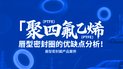 聚四氟乙烯（PTFE）唇<i style='color:red'>型密封圈</i>的優缺點分析！