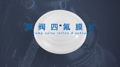 泵閥密封件和膜片：確保設備穩定運行的關鍵組件！
