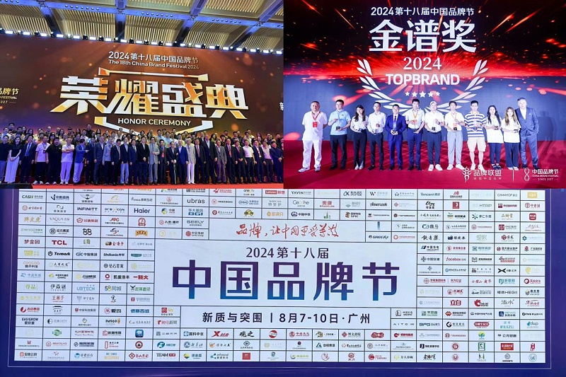 1東晟密封件閃耀2024第十八屆中國品牌節，榮獲密封技術“金譜獎”