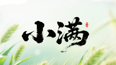 小滿未滿時，智造無止境——東晟密封圈的節氣創新哲學!