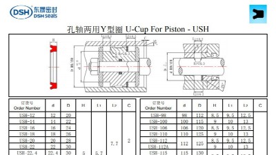 孔軸兩用Y型圈USH規格尺寸表