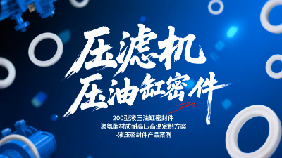 壓濾機200型液壓油缸密封圈！聚氨酯材質耐高壓高溫定制方案