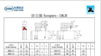 新版防塵圈DKB規格尺寸表
