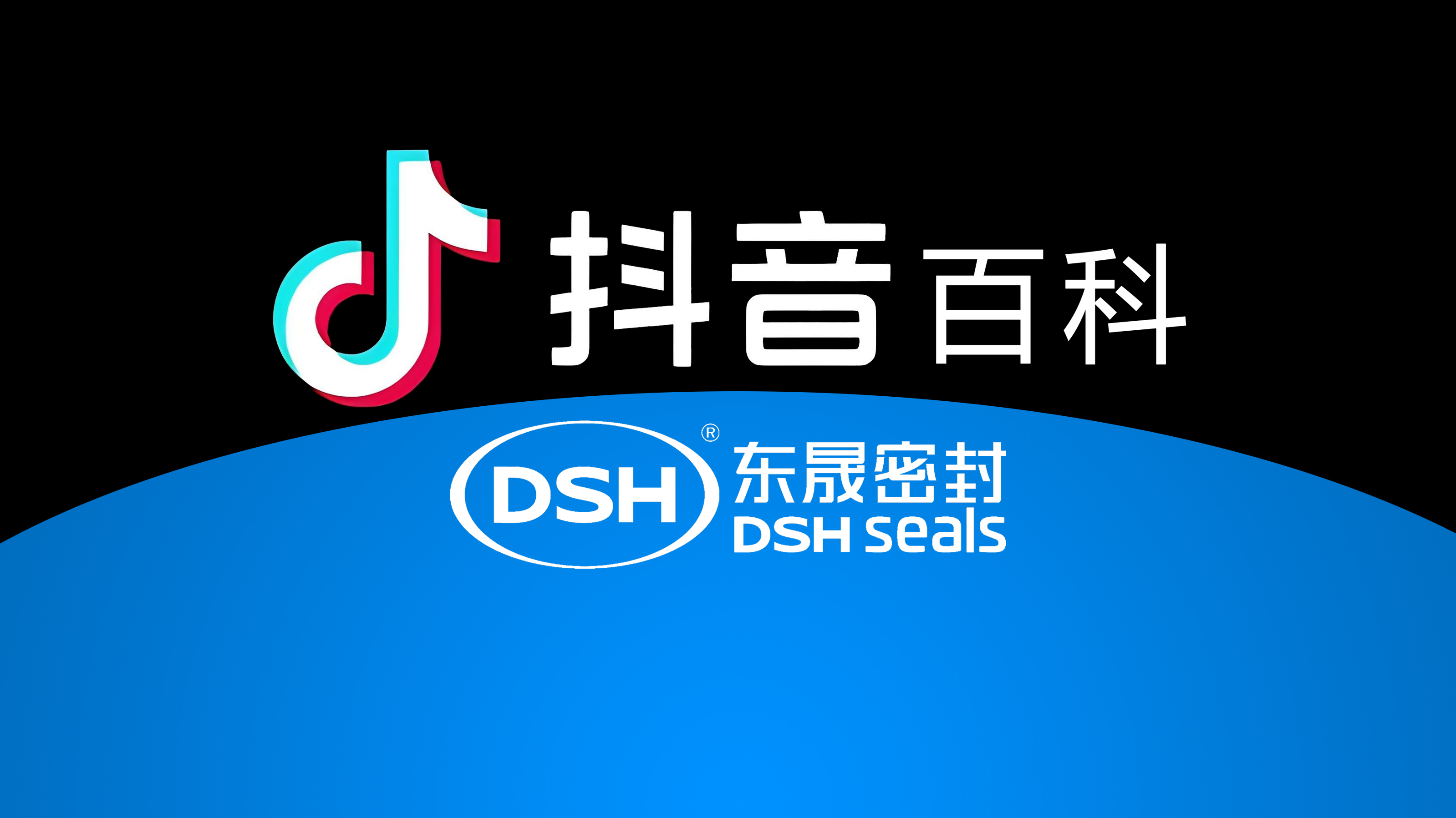 權威解讀，東晟密封件<i style='color:red'>官方百科</i>閃耀抖音！