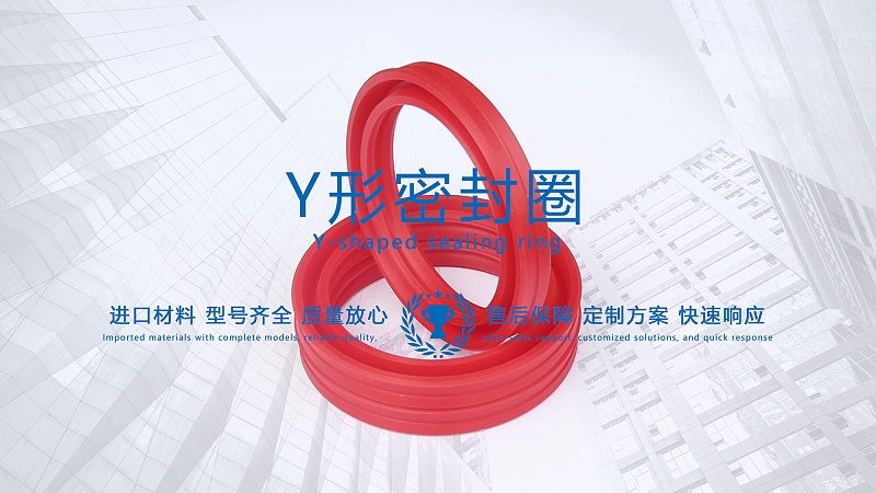 y型密封圈（又Y形密封圈，Y形圈，Y型圖或唇形密封圈，密封件油封膜片） (3)