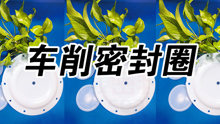 2車削密封圈，氣動隔膜泵膜片密封件